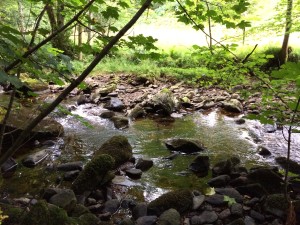 scottish land with a river at dunkeld and tessleymoor gunodgs