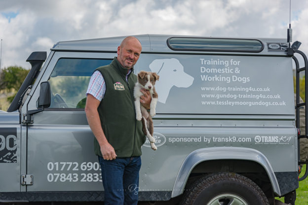 pentir lassie border collie