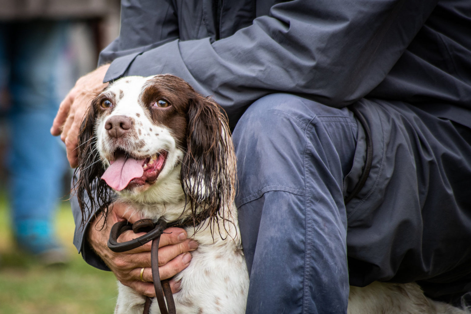 Tessleymoor Puppy Training Lancashire - Book a Lesson